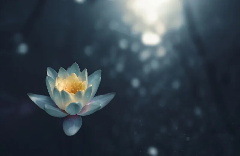 Healing Background